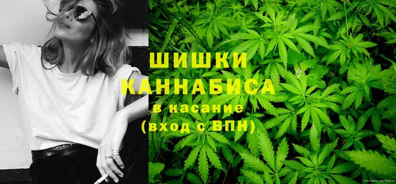 Конопля White Widow  МЕГА сайт  Шелехов 